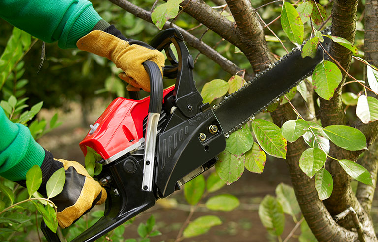 Tree Pruning